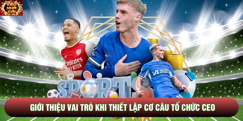 Giới thiệu vai trò khi thiết lập cơ câu tổ chức CEO