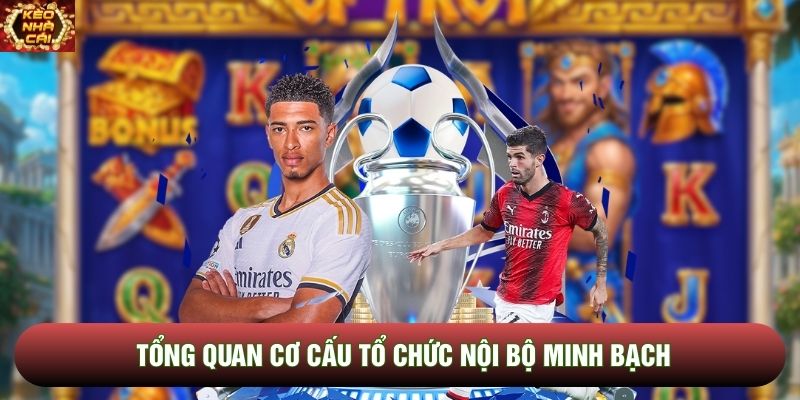 Tổng quan cơ cấu tổ chức nội bộ minh bạch Tổng quan cơ cấu tổ chức nội bộ minh bạch