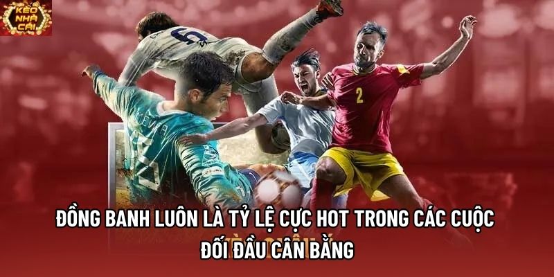 Đồng banh luôn là tỷ lệ cực hot trong các cuộc đối đầu cân bằng Đồng banh luôn là tỷ lệ cực hot trong các cuộc đối đầu cân bằng